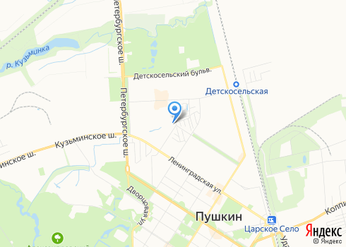 Центр Семейной Медицины в Пушкине - на карте
