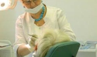 стоматологическая клиника Приморская Стоматологическая  Клиника